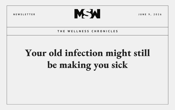 autoimmune triggers MSW Nutrition Gut L-Glutamine supplement