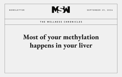 MTHFR and liver MSW Nutrition methylation pathway article header