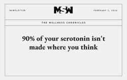 How to Increase Serotonin Naturally: Your Gut Is the Missing Key