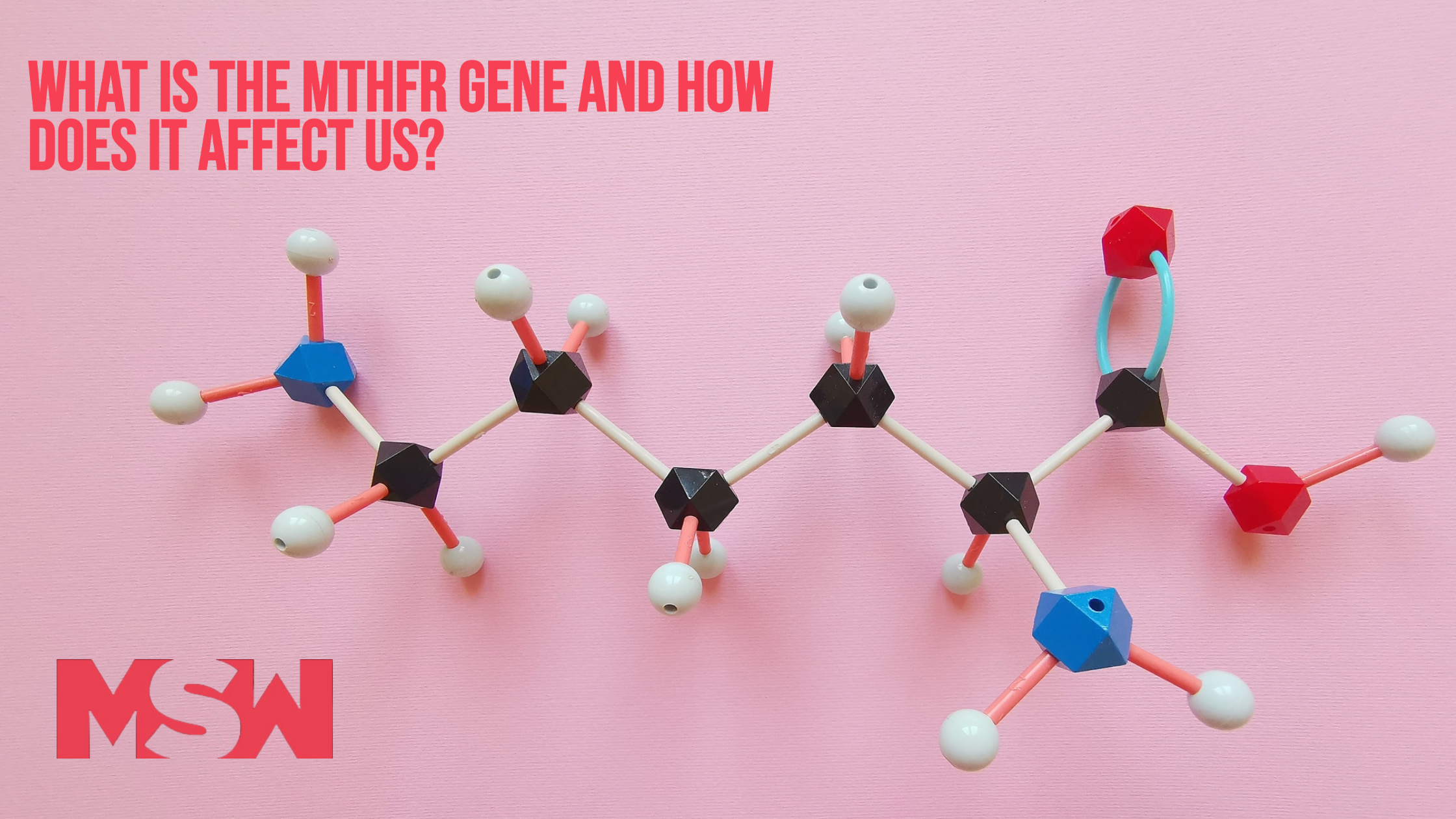 The Role of the MTHFR Gene in Health and How Supplementation Can Help ...