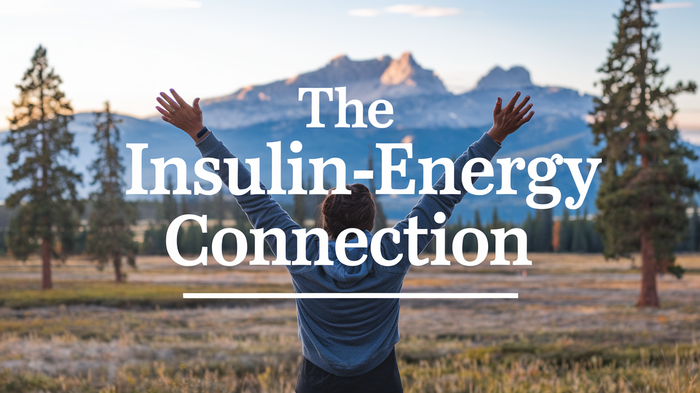 insulin energy connection image