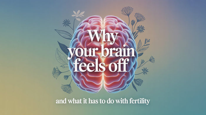 Your Brain on Screens: What 4 Hours at the Computer Really Does to Your Focus and Mental Health