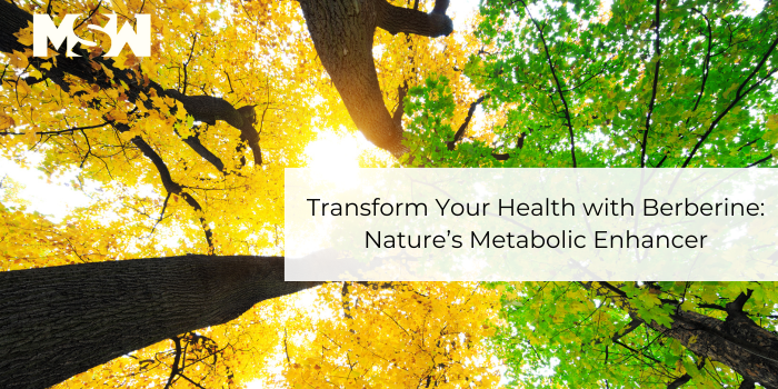berberine plus blog