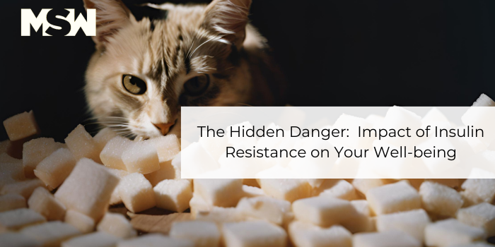 insulin resistance danger